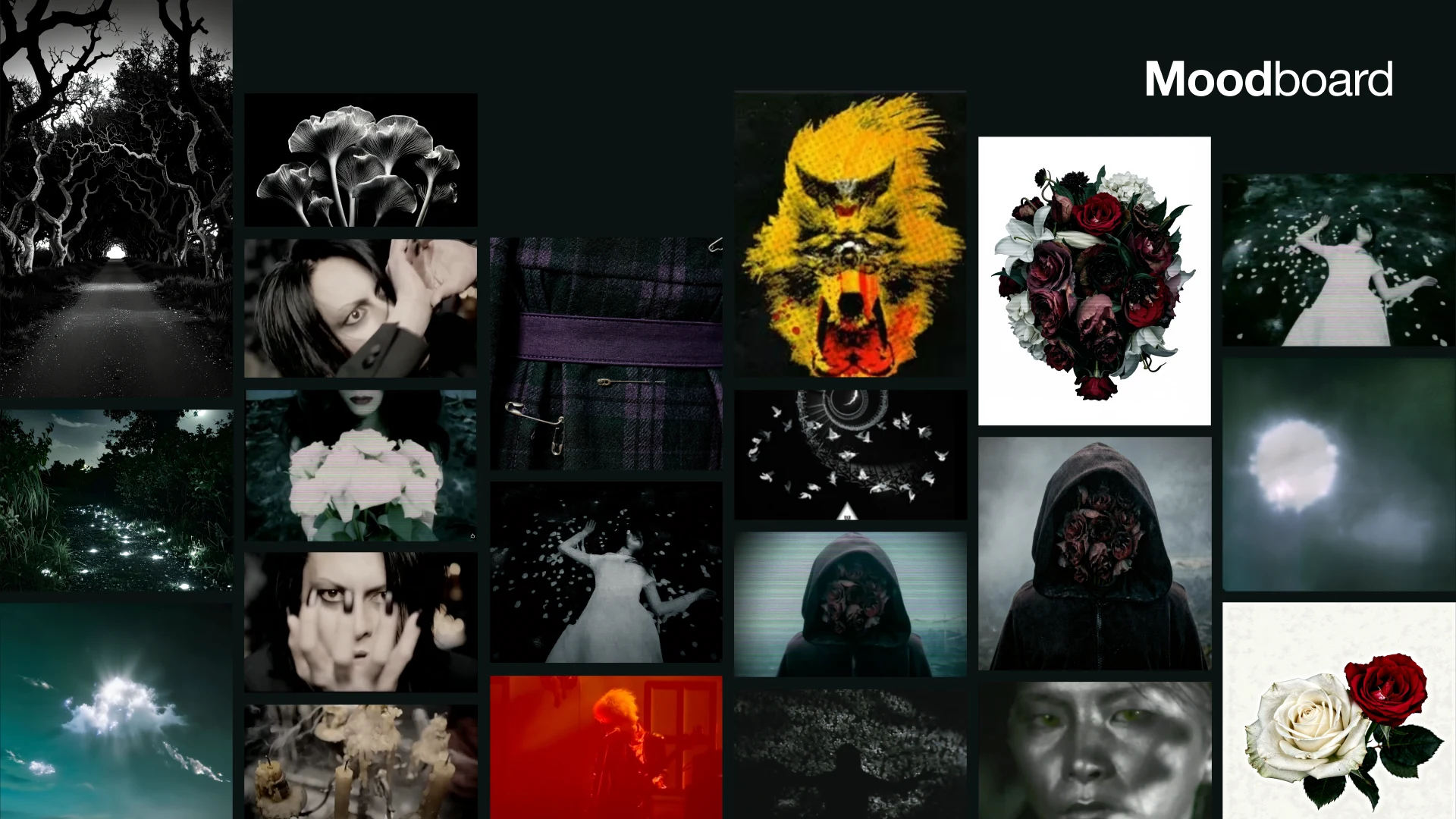 Caroline Barra - Moodboard e Universo Visual Gótico e Visual Kei