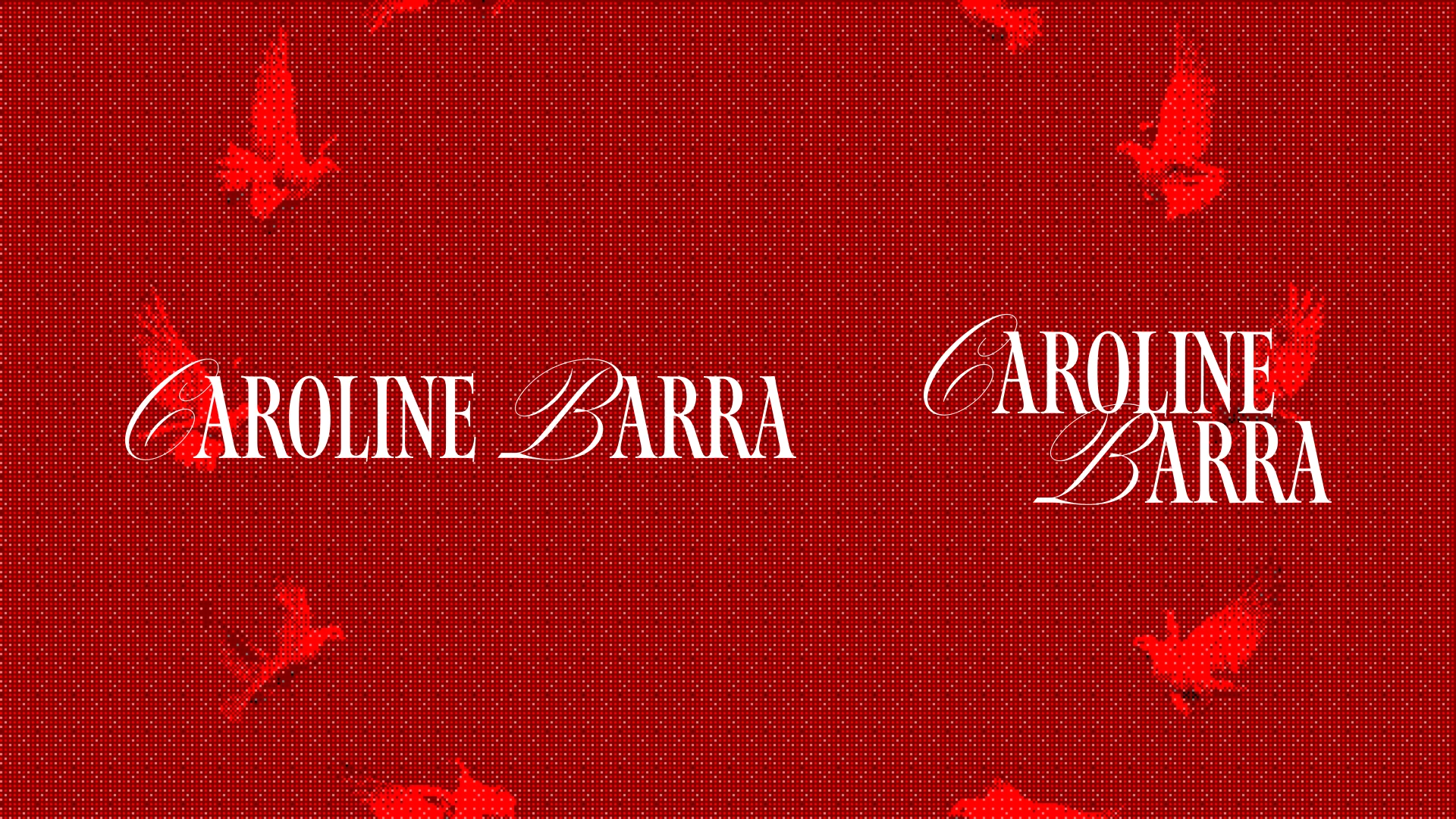 Caroline Barra - Assinatura Visual e Variações do Logotipo