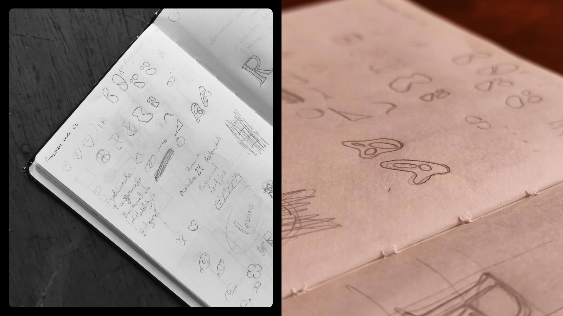 Dr Isabella Ristov - Identidade Visual 12